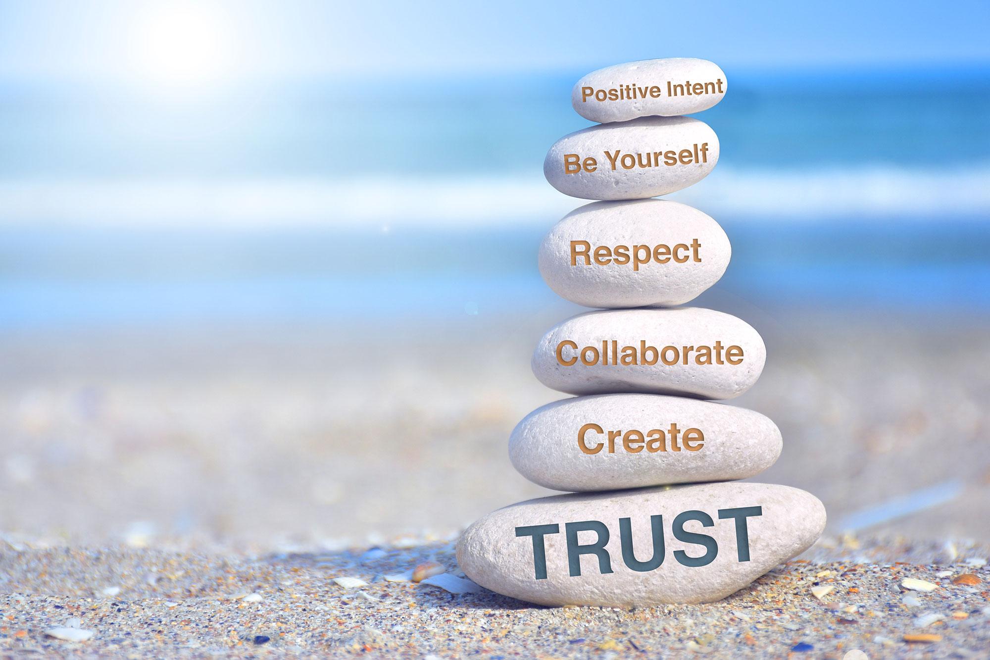 Building Trust Through Transparency and Disclosure Practices